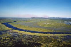 Wetland in