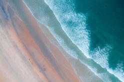 the ocean